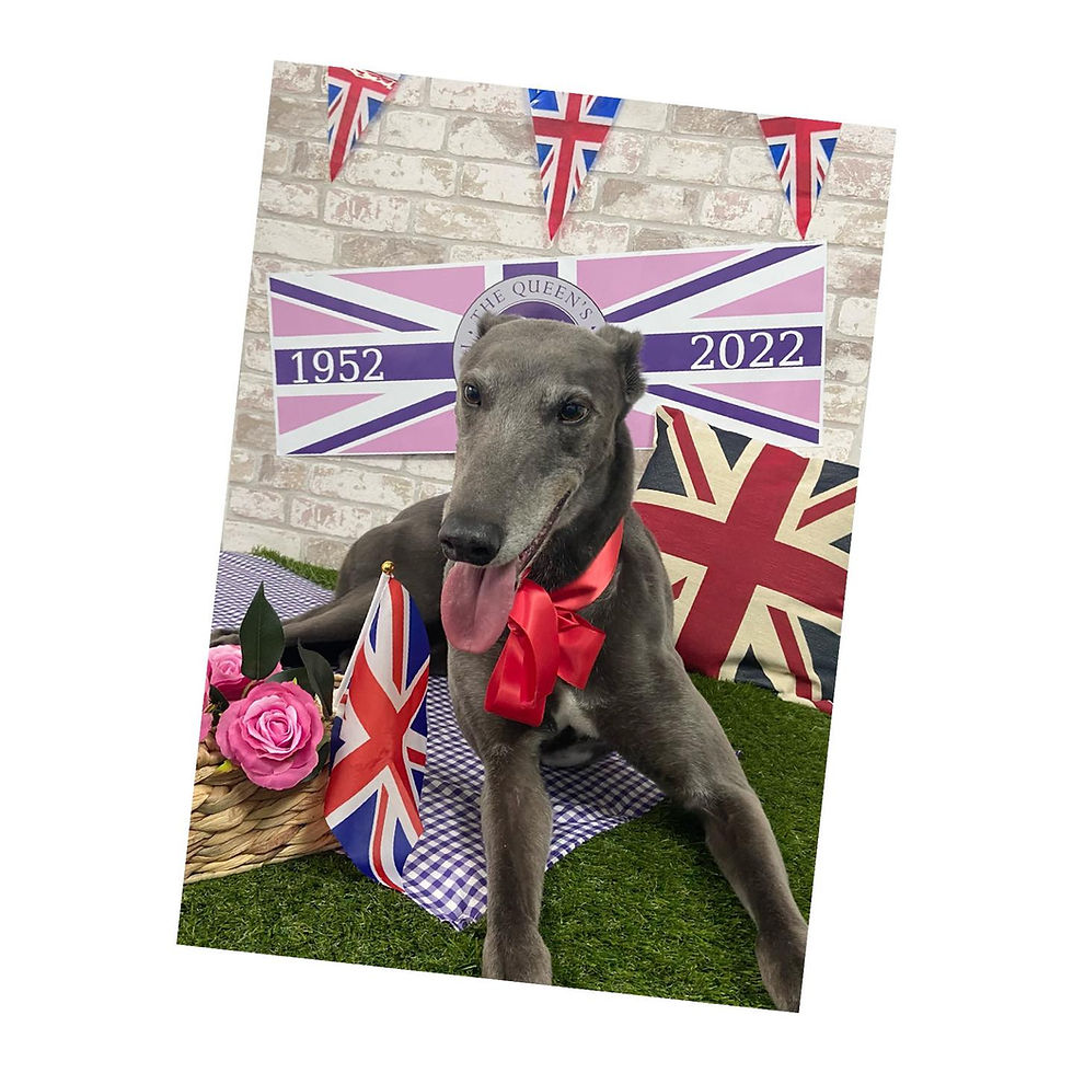 280658422_169256942140467_3037997210007390844_n