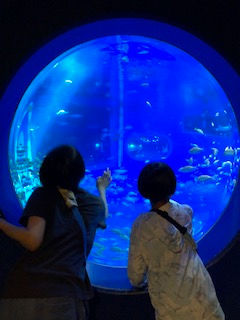 のとじま水族館に行ってきました