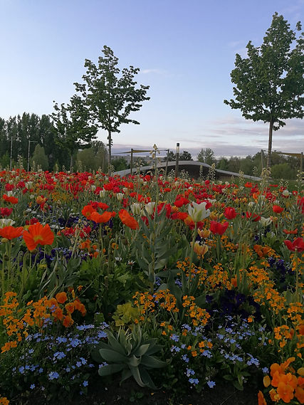 GdW_2021-05-18_004.jpeg