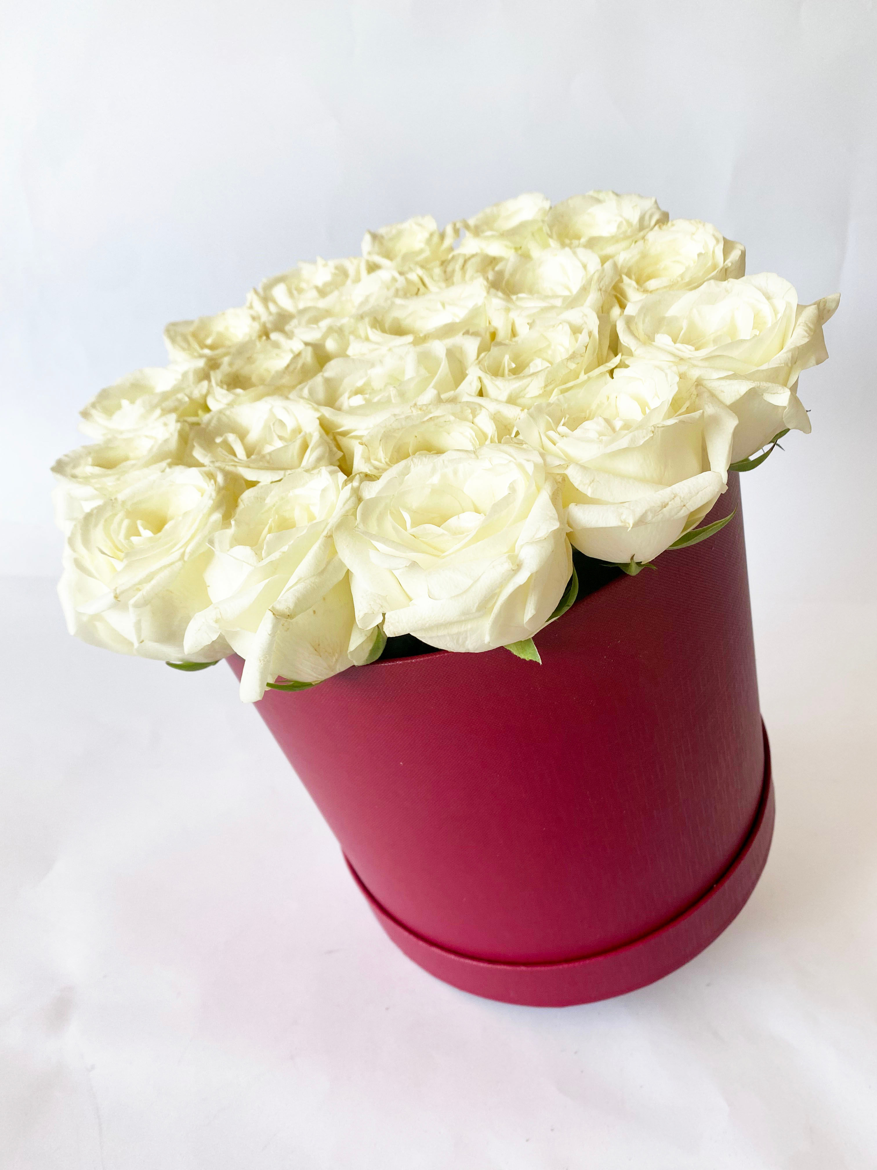 Lüks Deri Kutuda Beyaz Güller