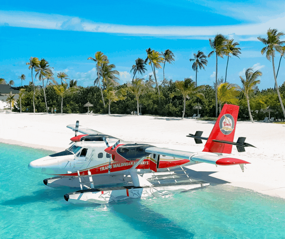 Newsletter Body Images (7).gif