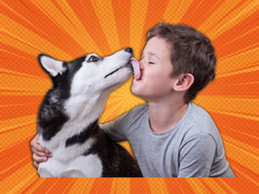 Episode 137 - More Dogs Licking Kids Please...