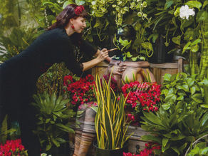The Artistic Journey of a Multi-Disciplinary Visionary - Artist.Vault Magazine