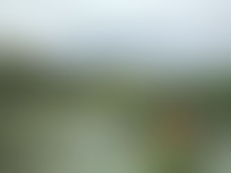 Dress Sculptures Made of Unusual Materials by Robin Barcus Slonina - Laughing Squid