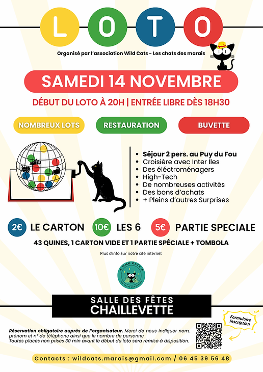 Loto 2026 (2).png