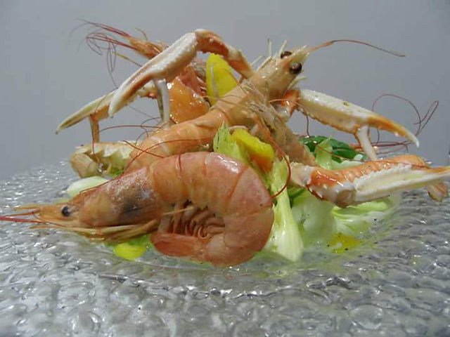 Scampi