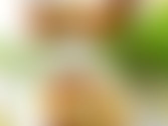 Chef Gianluca Deiana Abis: Torta Di Mele/ Apple Cake