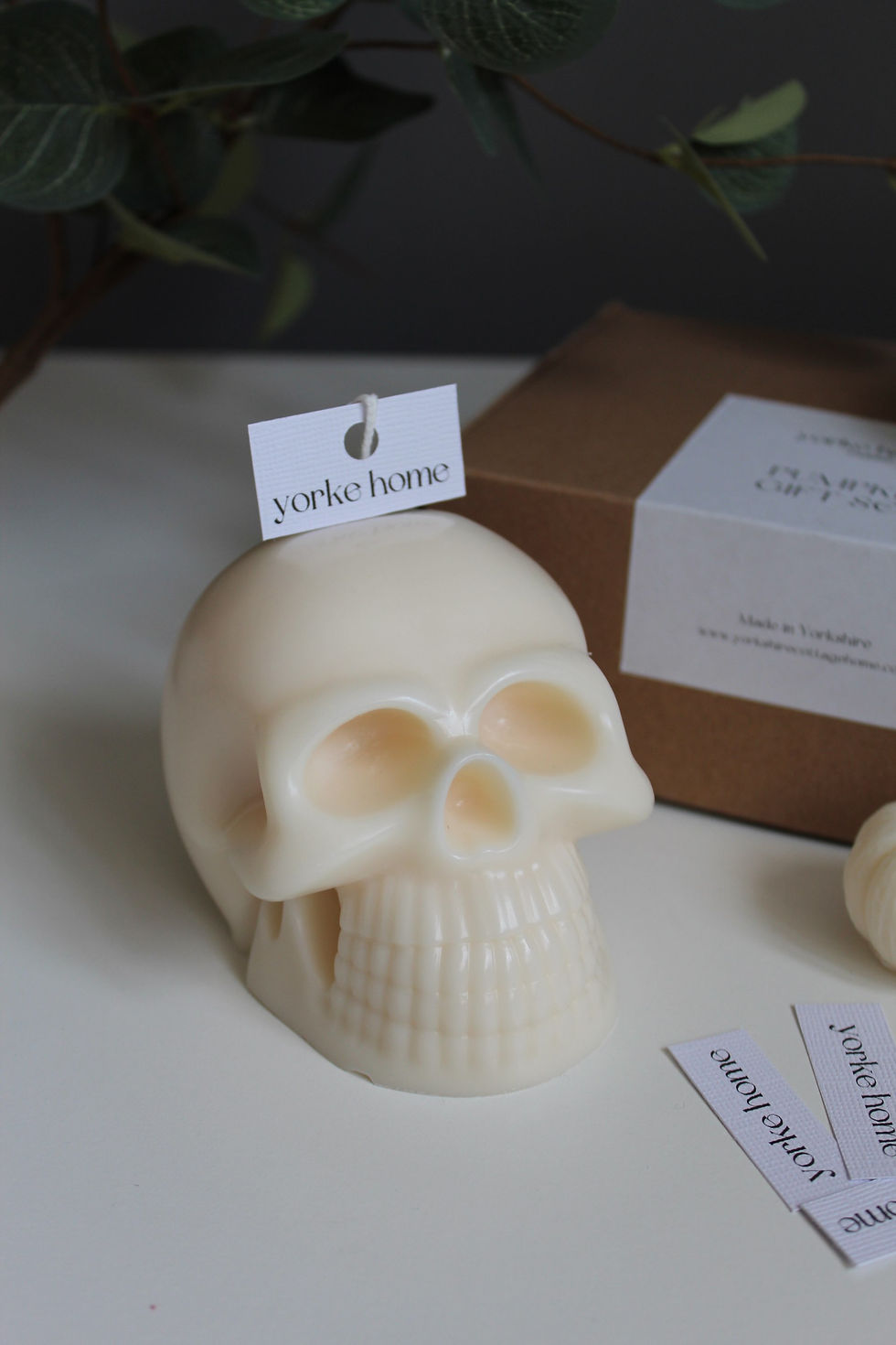 Thumbnail: SKULL