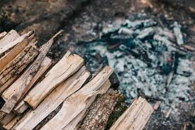 Parashat Tsav, Shabbat Parah: The wisdom of Ashes in wartime