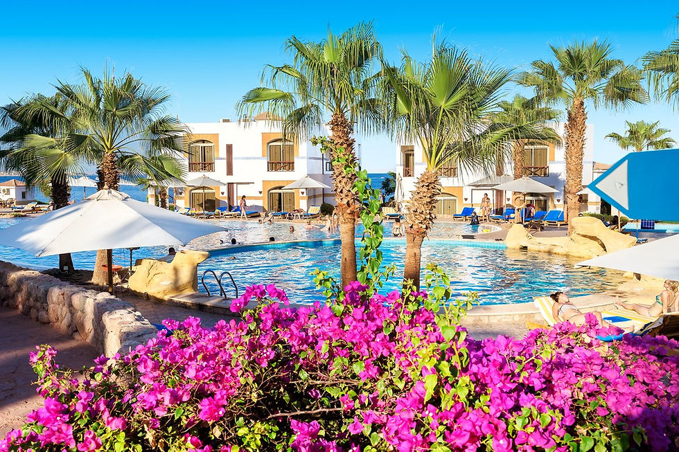 Miniatura: Hotel Aloha 4*