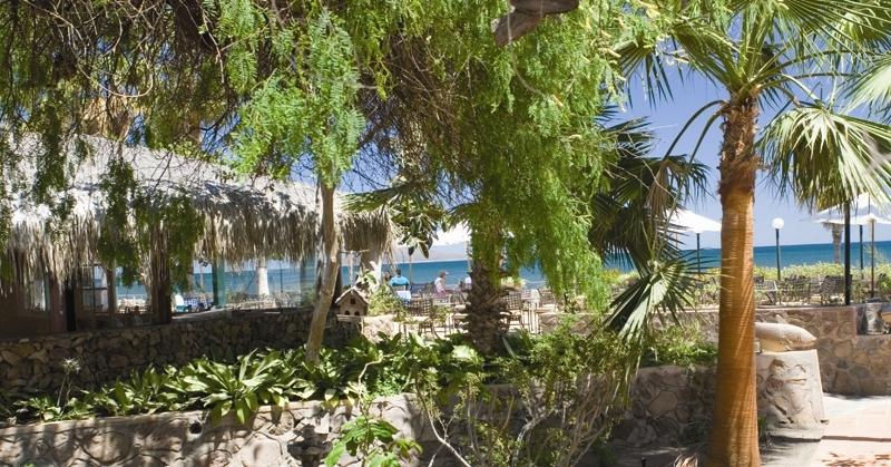 Miniatura: Hotel Oasis 3*