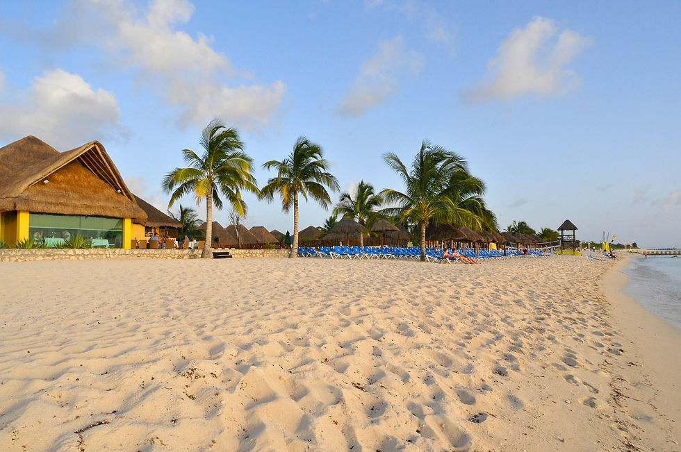 Miniatura: Allegro Cozumel Beach Resort 4*