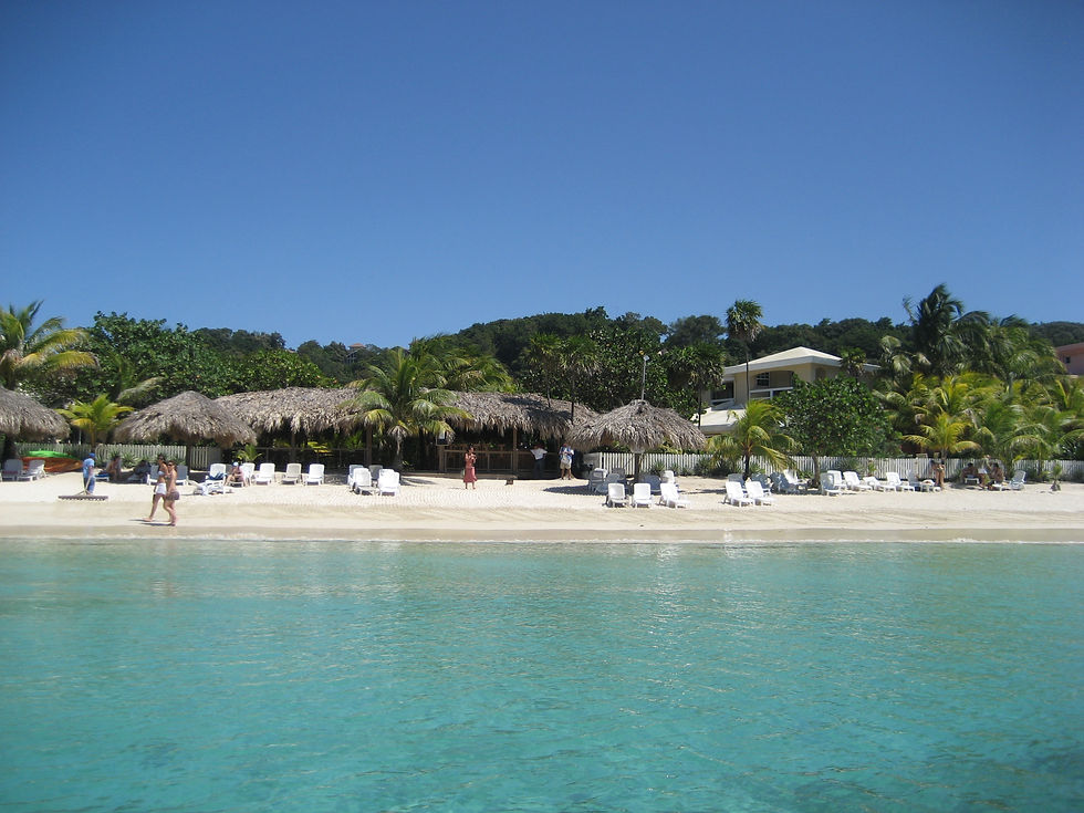 Miniatura: Hotel Henry Morgan 4*