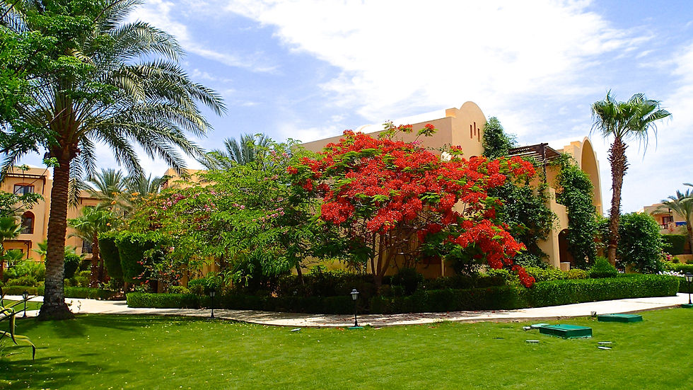 Miniatura: Iberotel Coraya Beach 5*