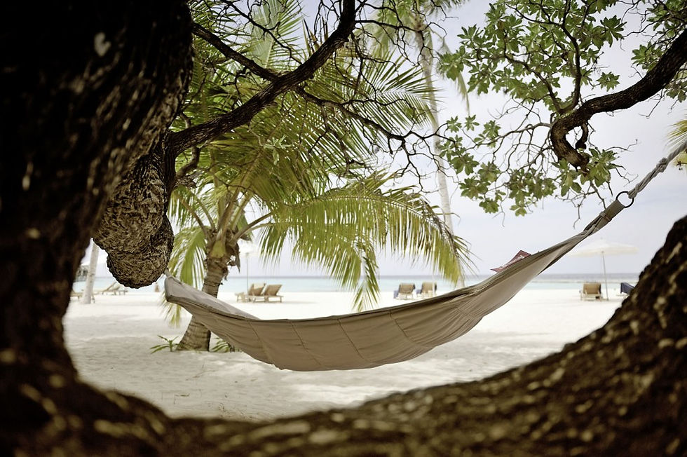 Miniatura: Maafushivaru Resort 4*