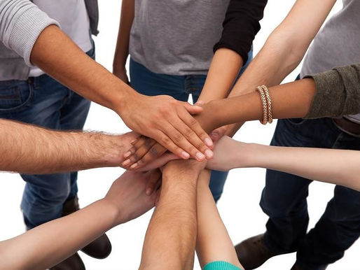 IL NUOVO COMITATO SCIENTIFICO APID