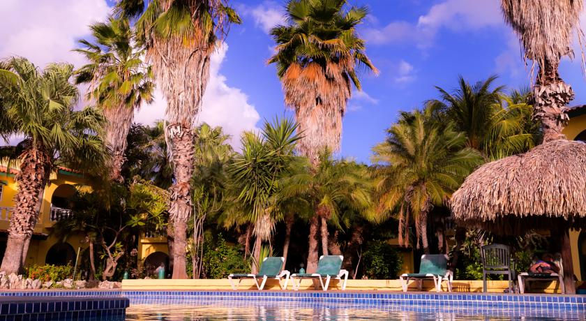 Miniatura: Hotel Buddy Dive Resort 3*