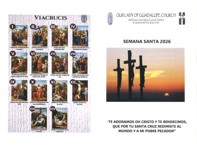 WhatsApp Image 2026-03-01 at 4.57.30 PM.jpeg