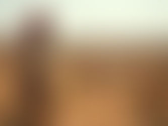 Economic Implications of Global Warming on Smallholder Goat and Sheep Farmers in India