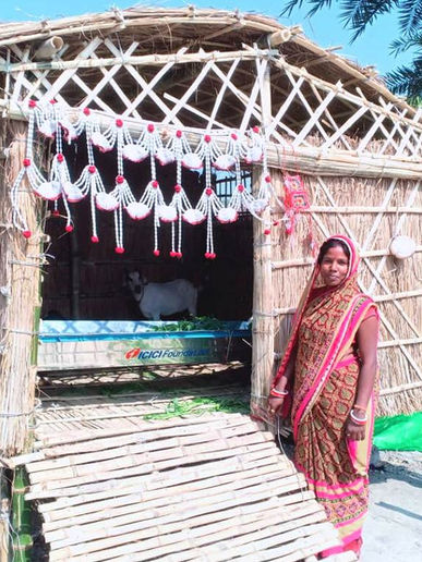 Training of making the house for animals