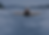 background cold small.png