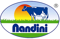 NandiniLogo.png