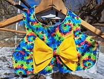 Who's That Lady Custom Made Dog Dress