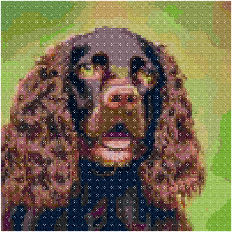 Boykin Spaniel Portrait cross stitch pattern