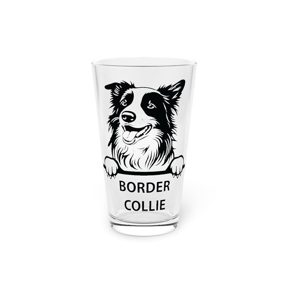 Border Collie Portrait with Text Pint Glass, 16oz
