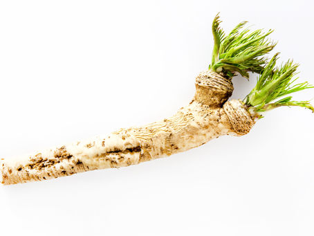 Horseradish and Potatoes