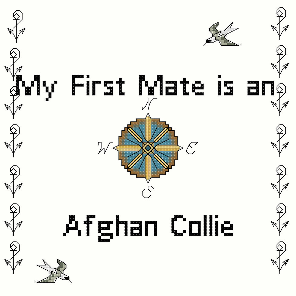 My First Mate Is An Afghan Collie dog breed counted cross stitch pattern/graph instant download/pdf