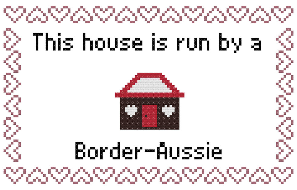 Border-Aussie This house is Run by a Dog Cross Stitch