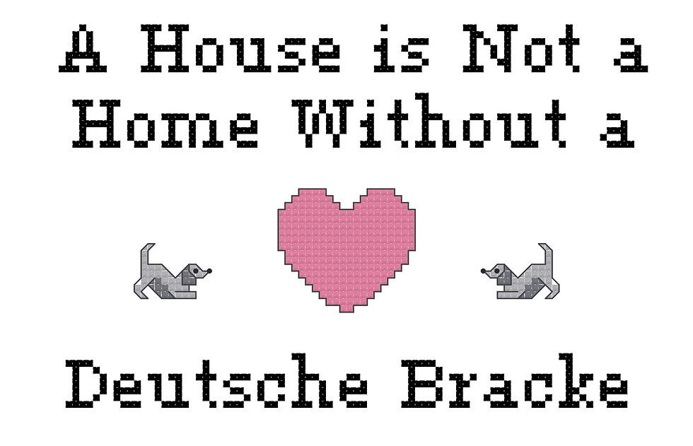 A House Is Not a Home Without a Deutsche Bracke Dog Breed Counted Cross Stitch Pattern