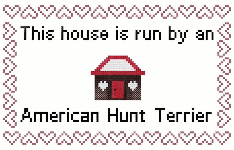 counted cross stitch pattern instant download "This House is Run by an American Hunt Terrier " dog breed
