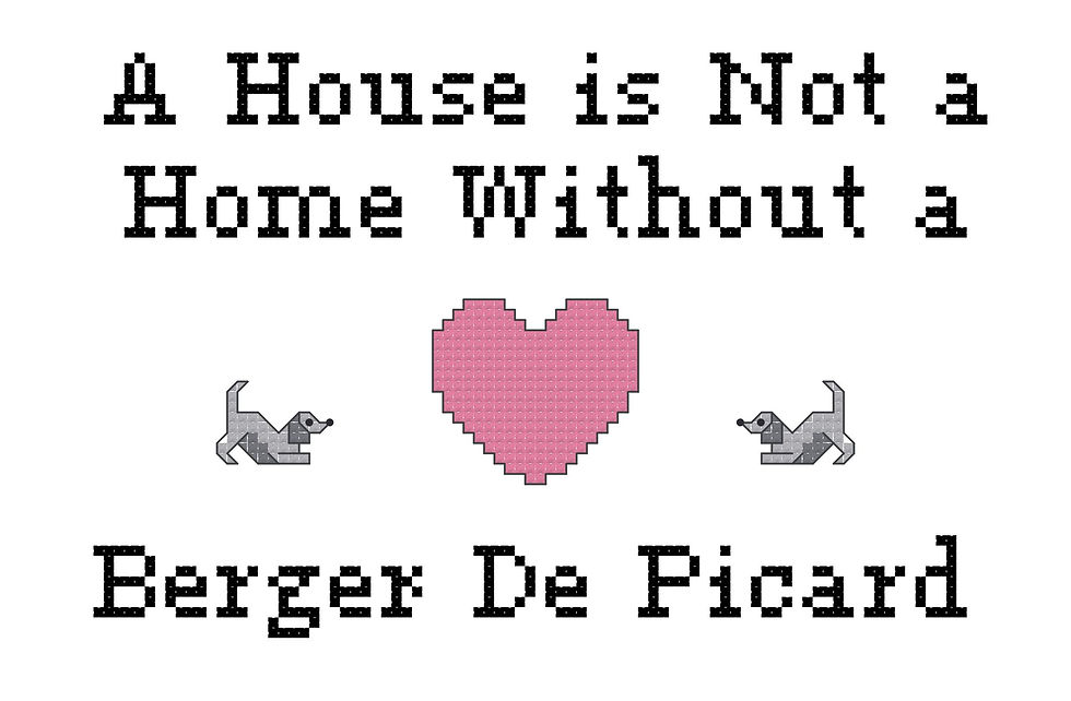 counted cross stitch graph chart instant download "A House is Not a Home Without a Berger De Picard" dog breed