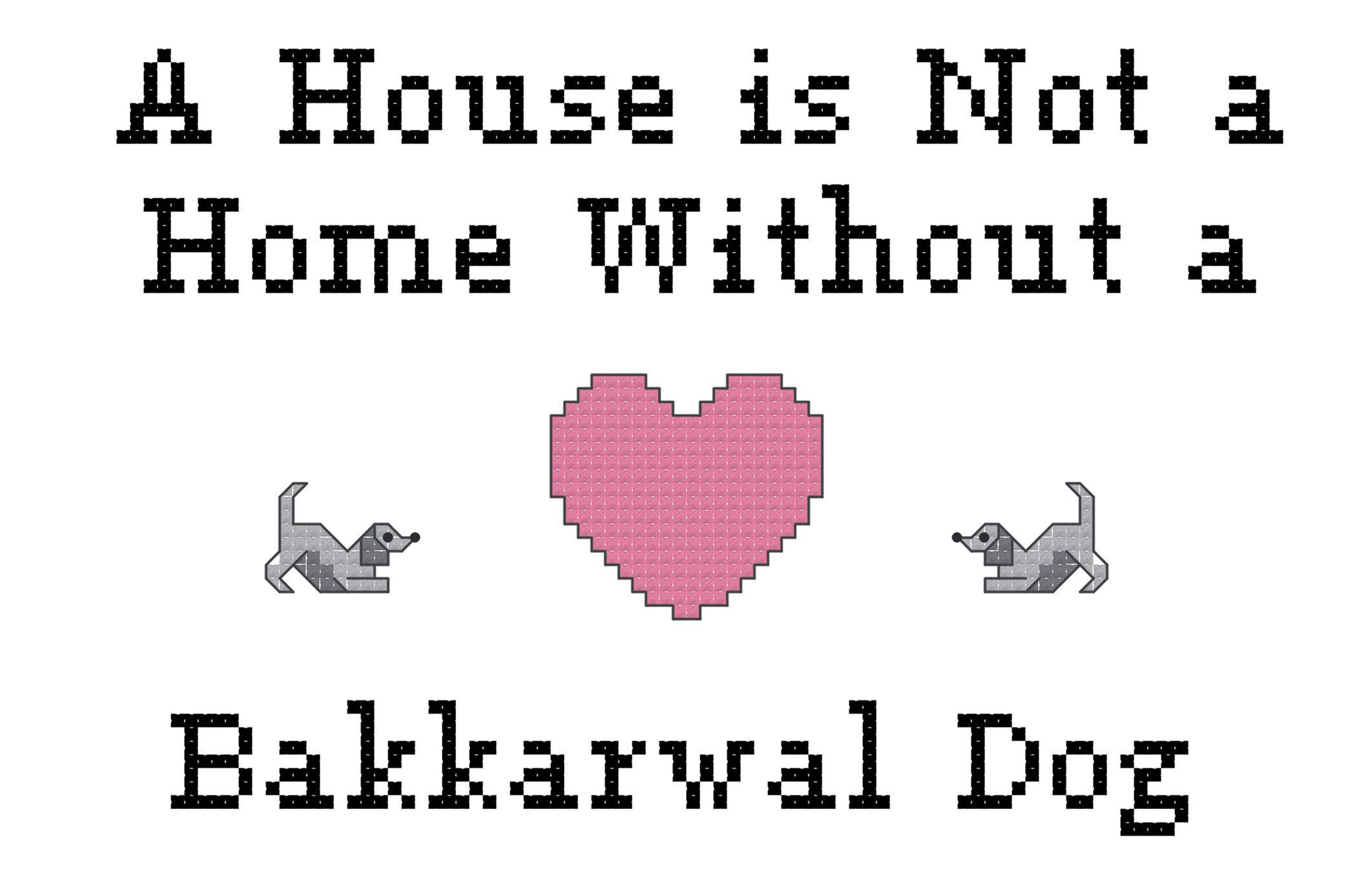 A house is not a home without a Bakkarwal Dog Counted cross stitch instant download xstitch graph
