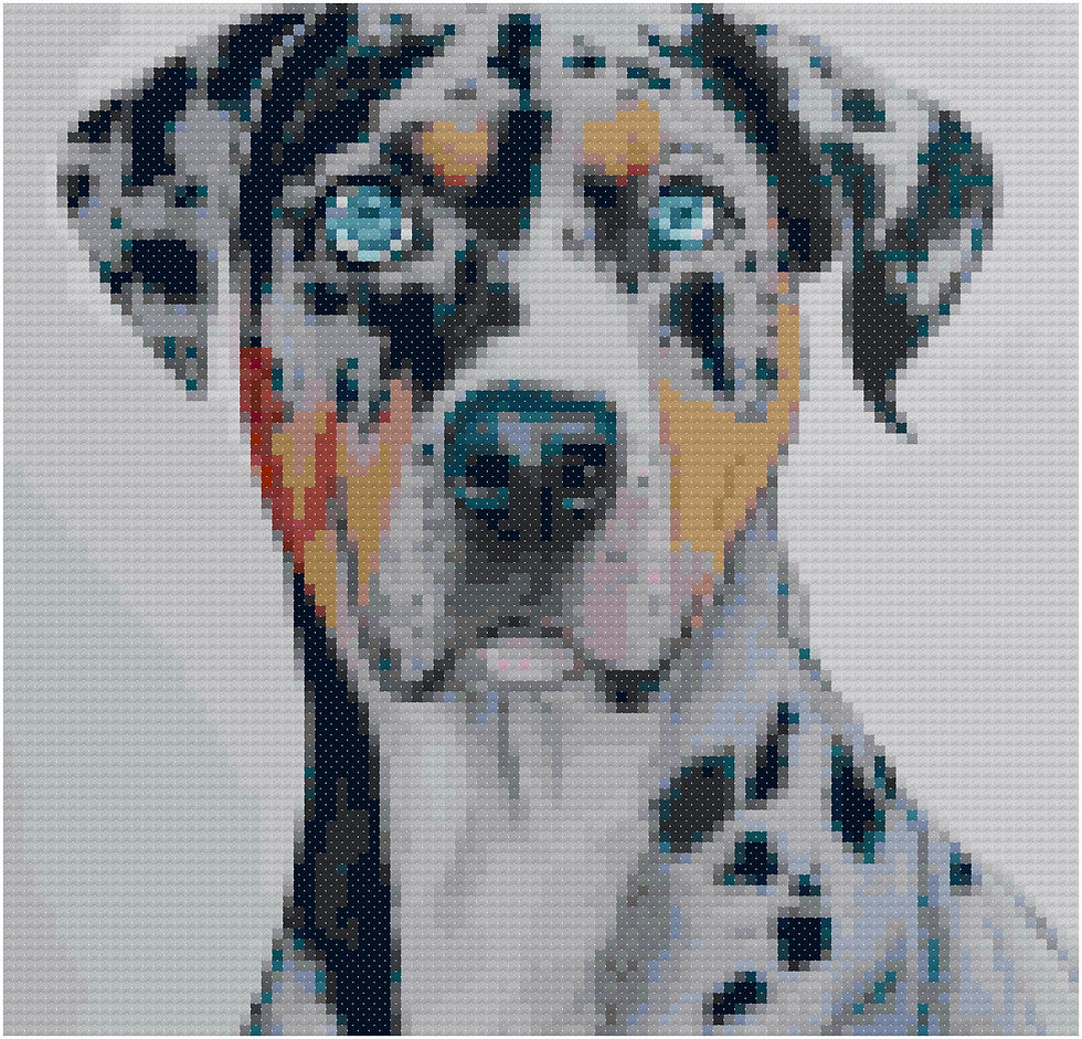 Catahoula Leopard Dog Portrait cross stitch pattern