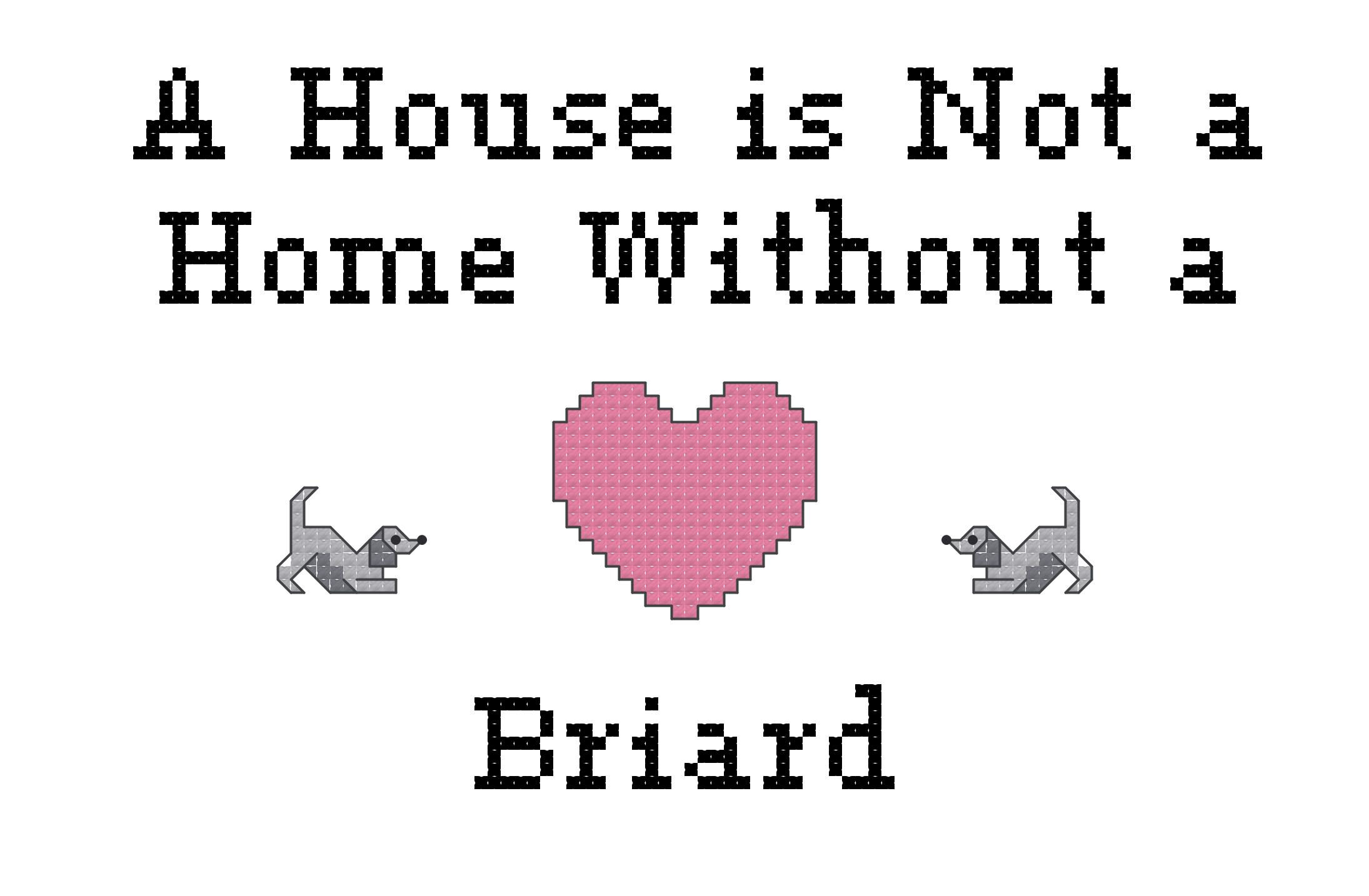 counted cross stitch pattern chart instant download "A House Is Not a Home Without a Briard" dog breed