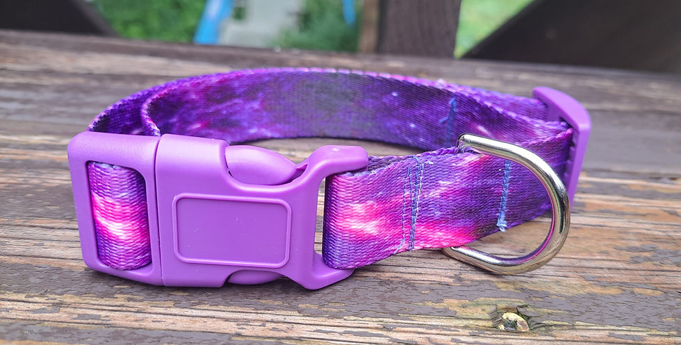 Purple Nebula space themed web dog collar with purple made in america