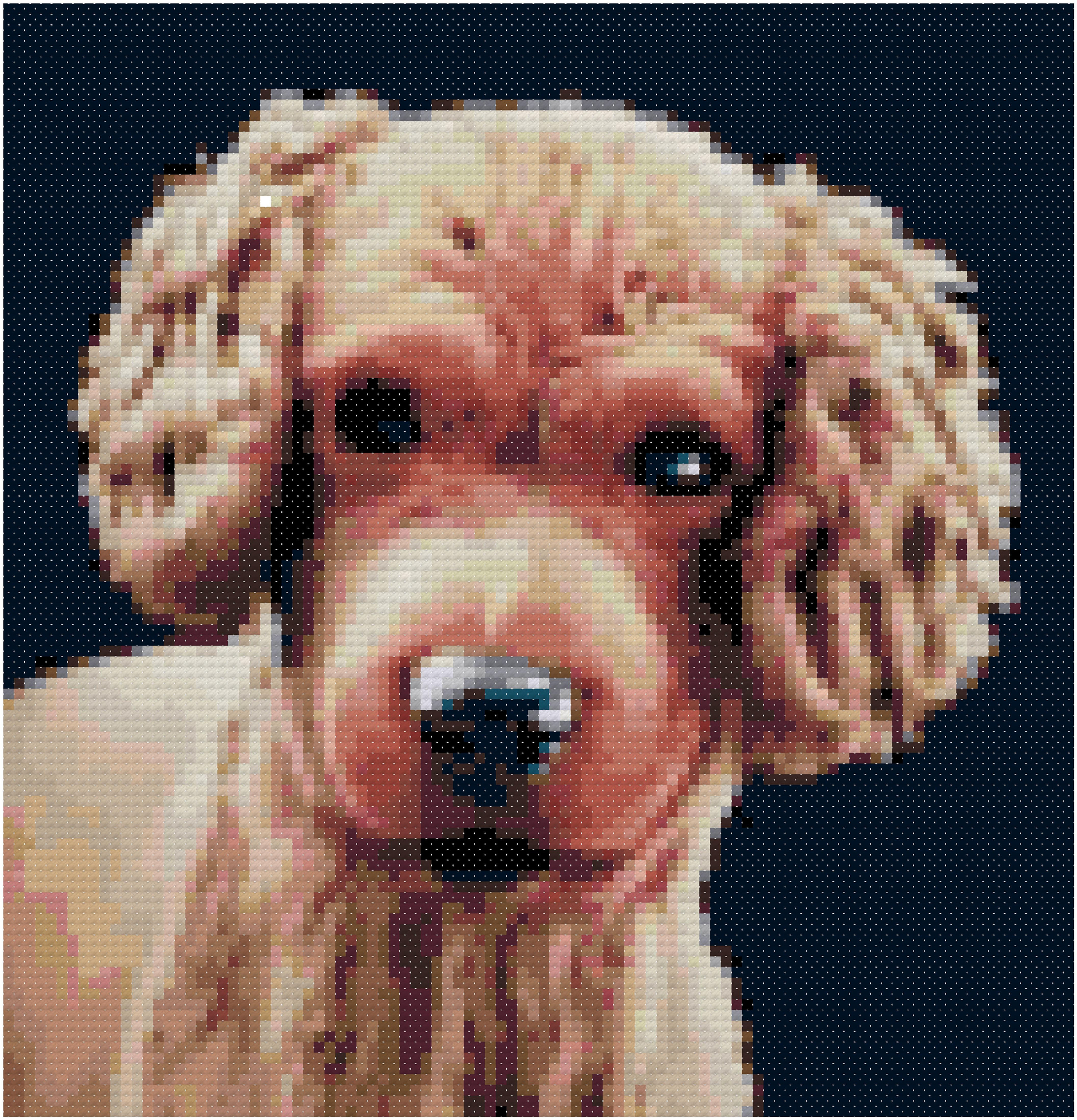 Glechon Portrait cross stitch pattern