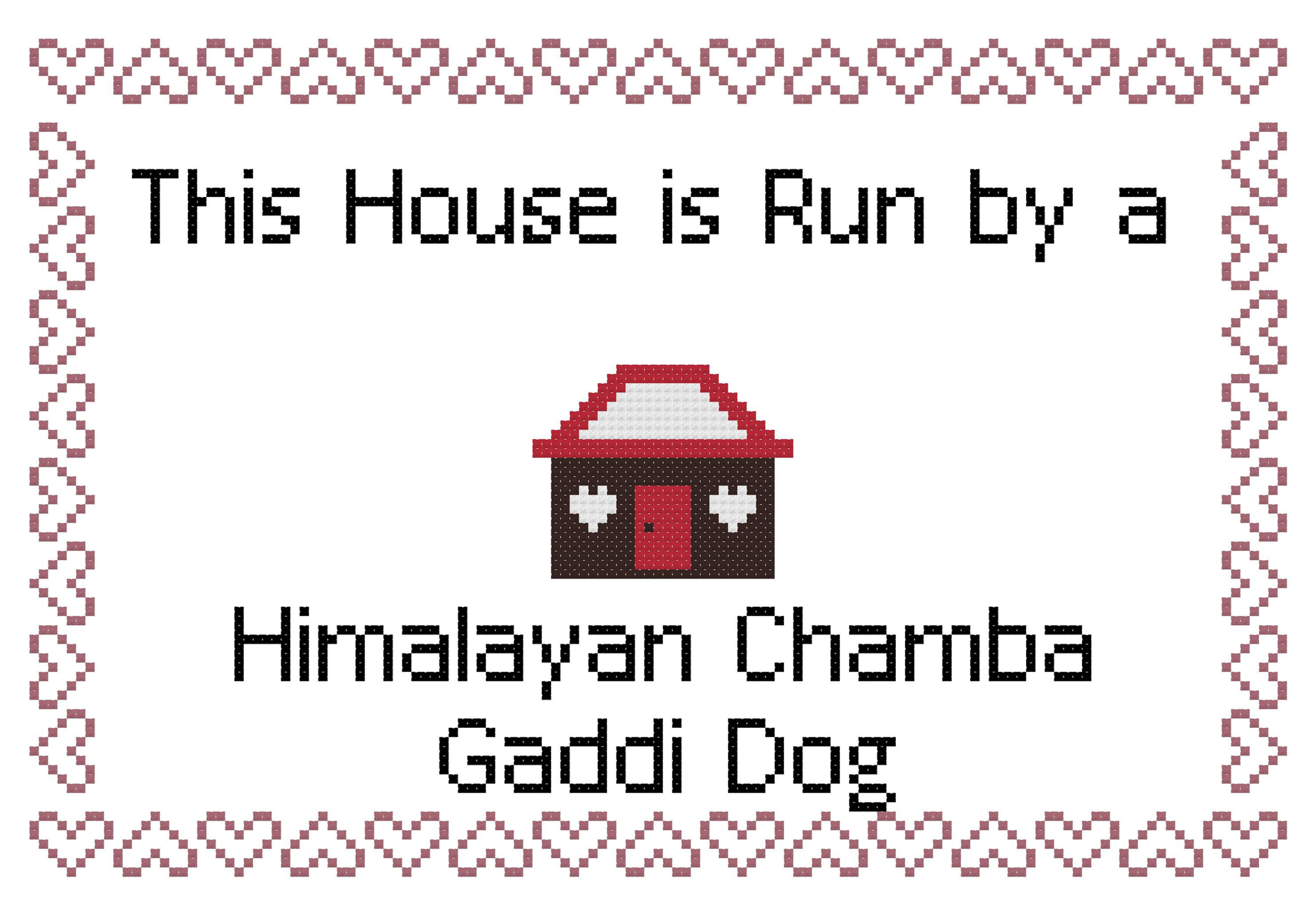 Himalayan Chamba Gaddi Dog This house is Run by a Dog Cross Stitch