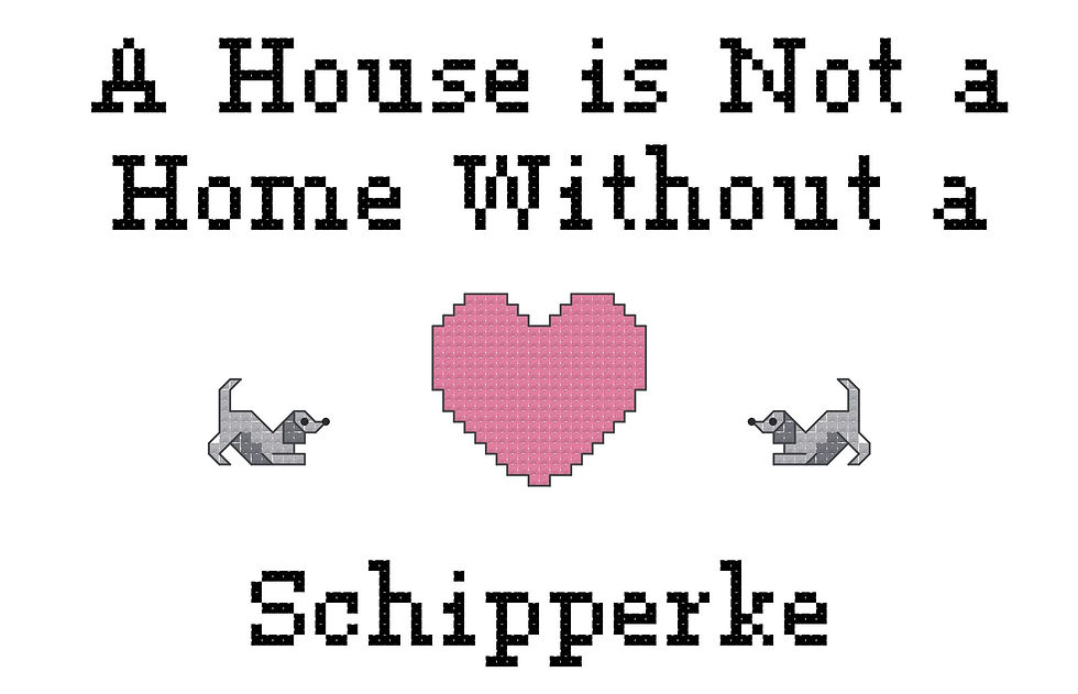 A HousWe Is Not A Home Without a Schipperke Dog Counted Cross Stitch Pattern/Graph instant download