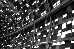 PAT_1458 mono small.JPG
