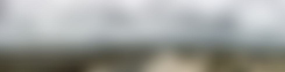 Dutch Coast