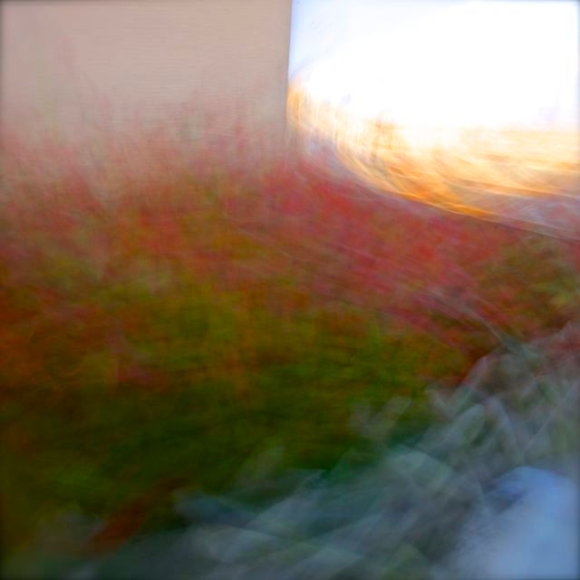 ART: Color & Movement