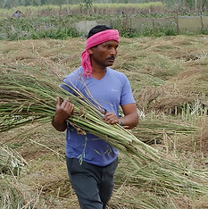 bb458b_0e4c6d374f5b4578b6f4fb163ccb3bfe_