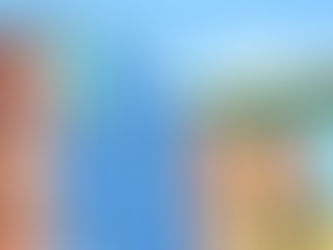 ANALYSIERUNG DES INTERNATIONALEN GESCHÄFTSPOTENZIALS MIT SEO