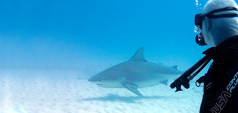 shark-and-scuba-diver-with-frog300-oceanix-concept.png