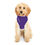 Thumbnail: Personalized Purple Pet Hoodie - for Dogs or Cats