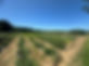 Farm Produce.jpg